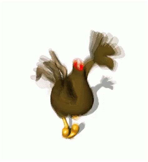 chicken with its head chopped off gif|chicken running without head gif.